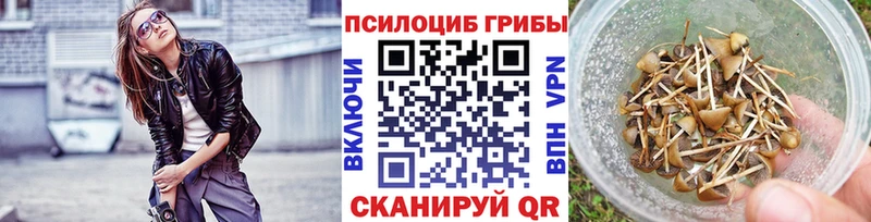 Псилоцибиновые грибы Psilocybine cubensis  Поворино 